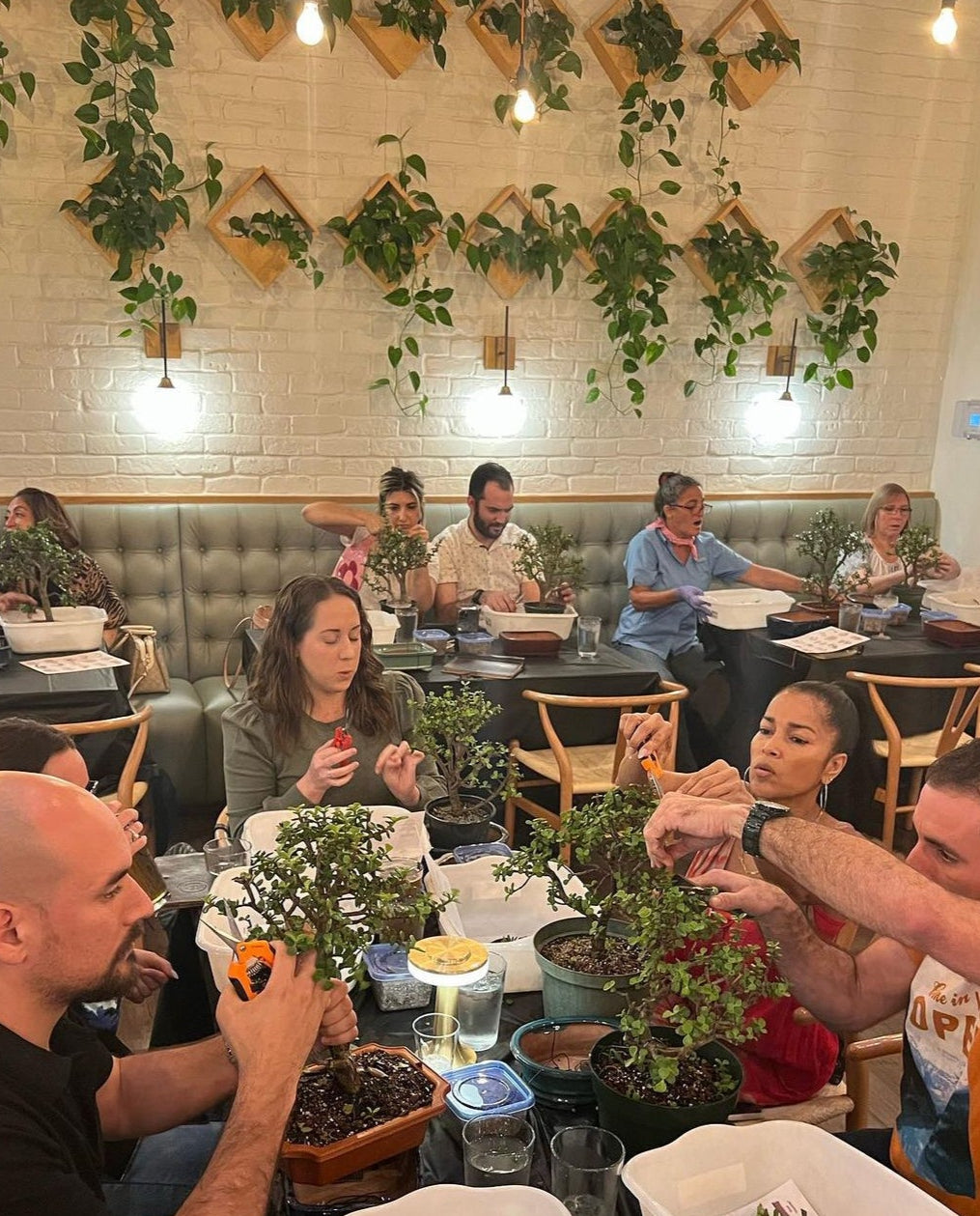 Bonsai Workshop with Alex Mendoza
