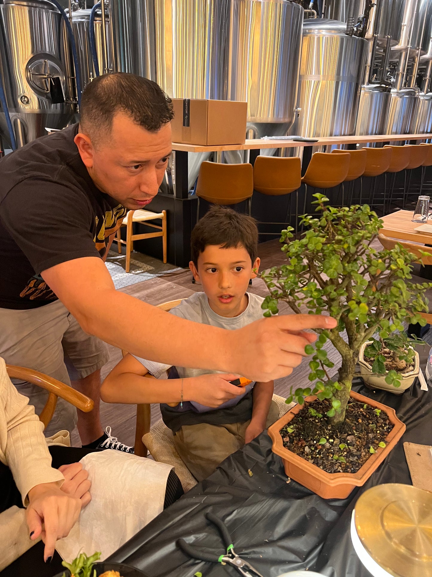 Private Bonsai Lesson (60 min) — Virtual or In-Person