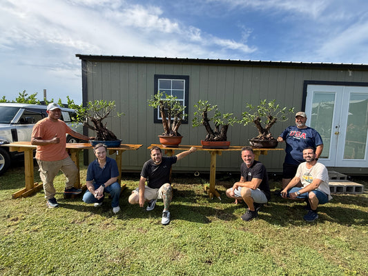 Buttonwood Bonsai Intensive Workshop