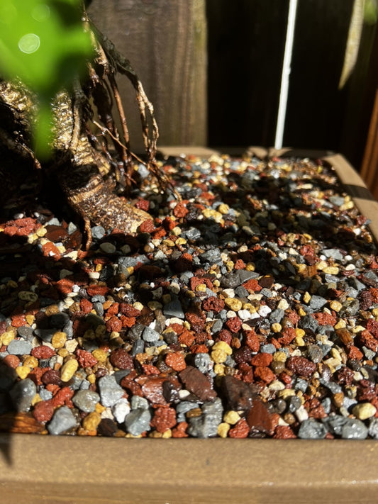 Organic Bonsai Soil Mix